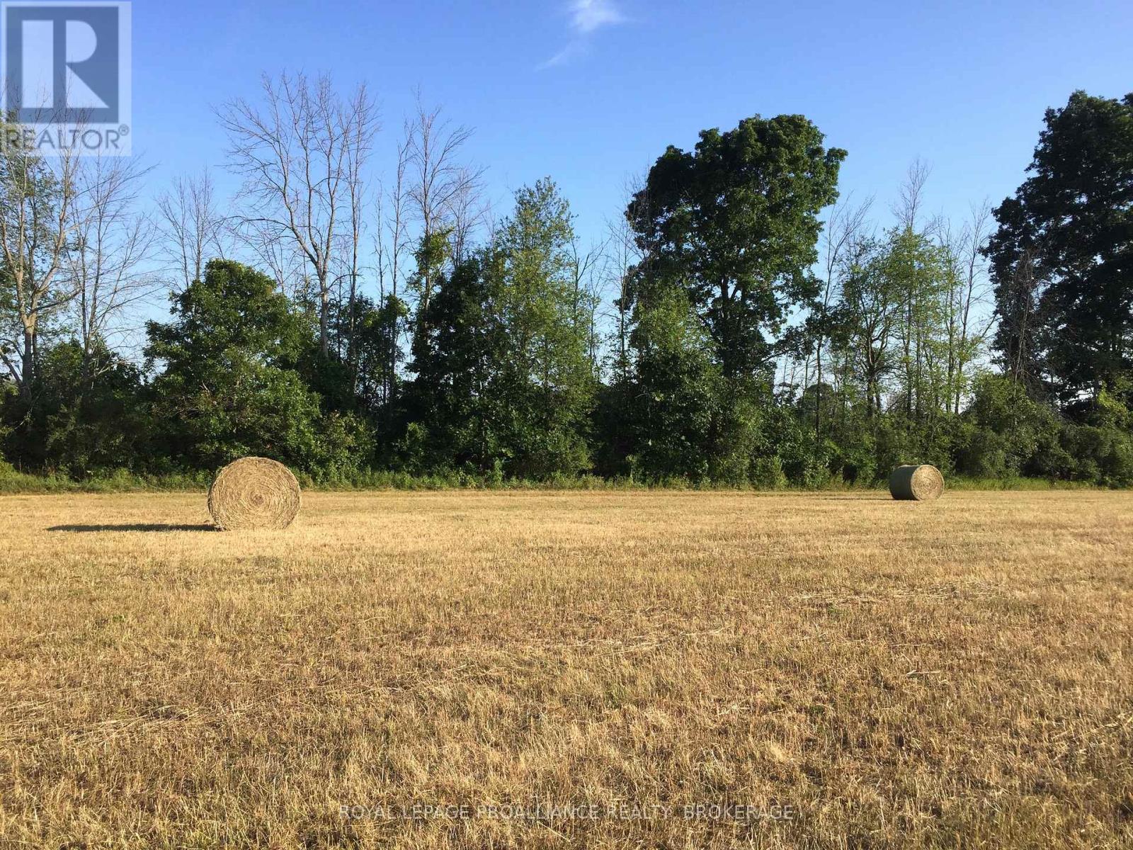 1136 Millhaven Road, Loyalist, Ontario K0H 2H0 - Photo 27 - X12516838