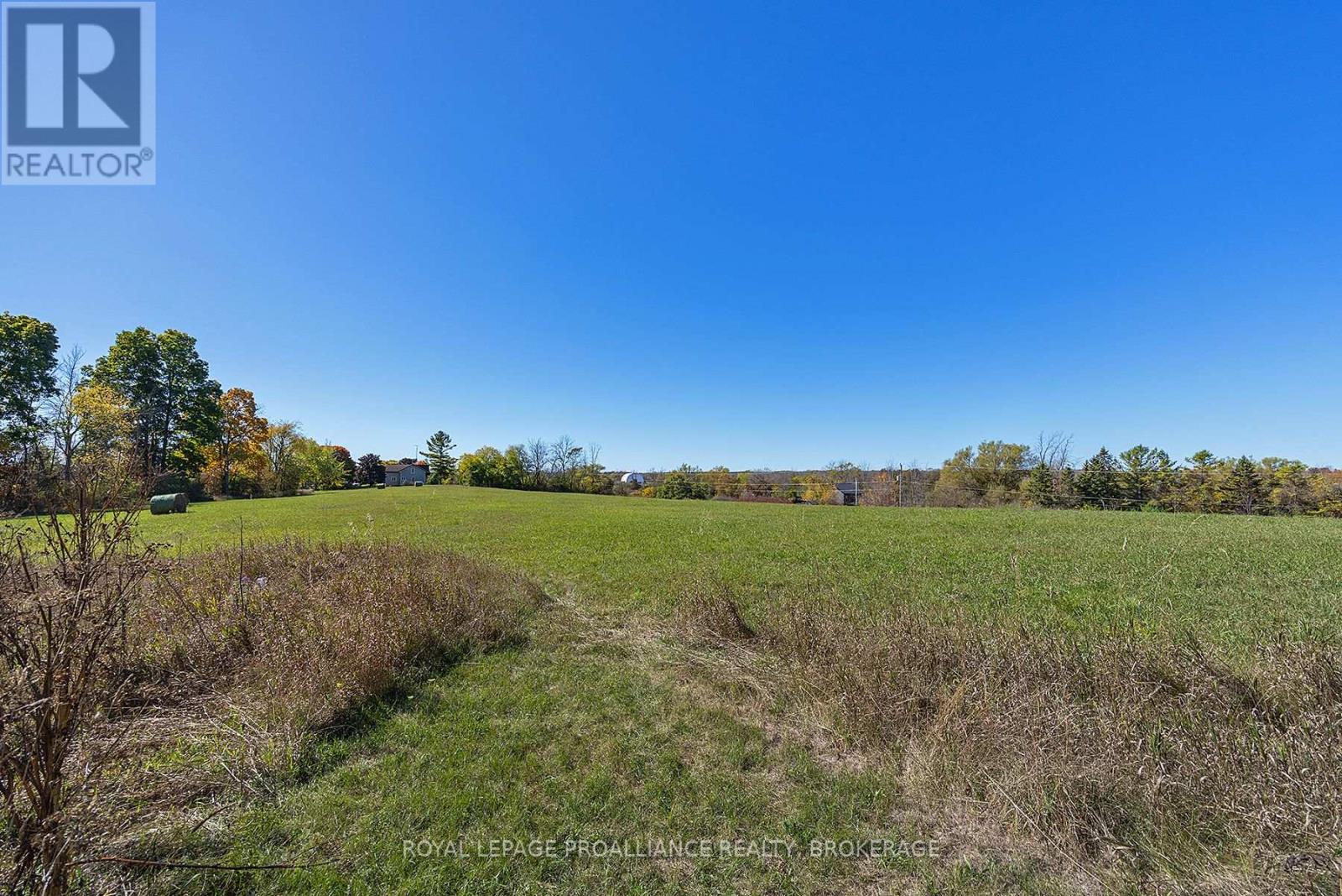 1136 Millhaven Road, Loyalist, Ontario K0H 2H0 - Photo 28 - X12516838