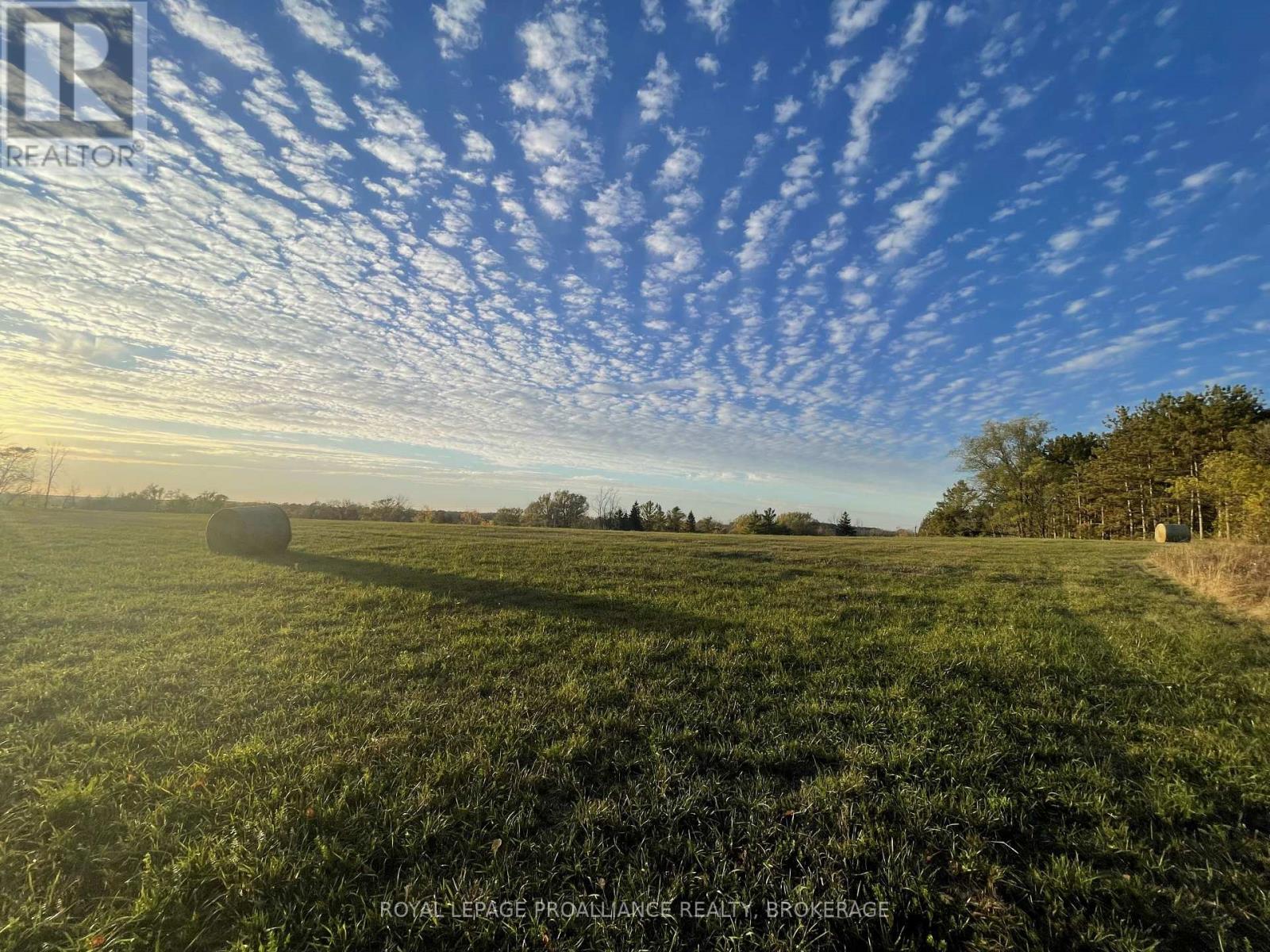 1136 Millhaven Road, Loyalist, Ontario K0H 2H0 - Photo 30 - X12516838