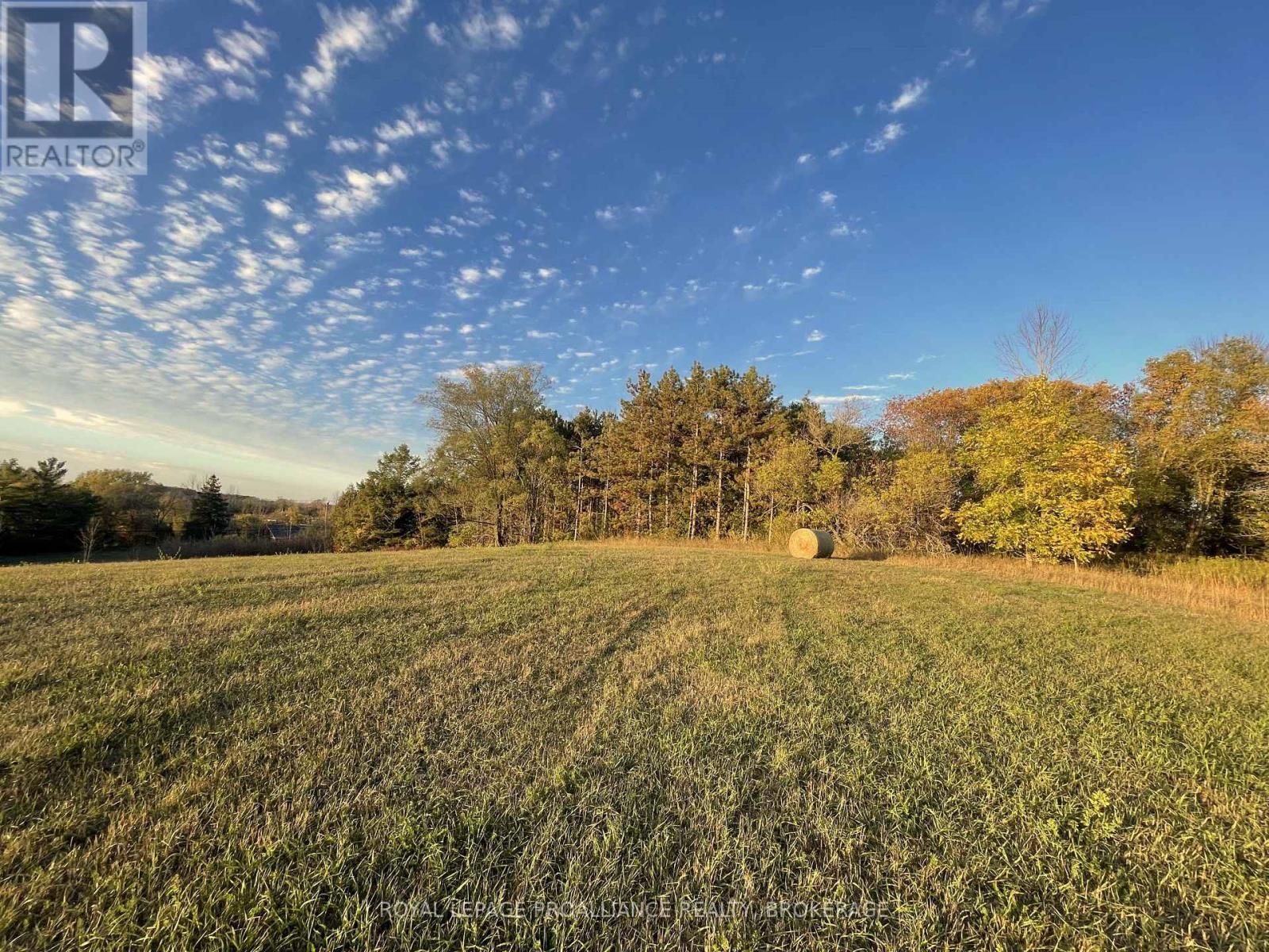 1136 Millhaven Road, Loyalist, Ontario K0H 2H0 - Photo 31 - X12516838