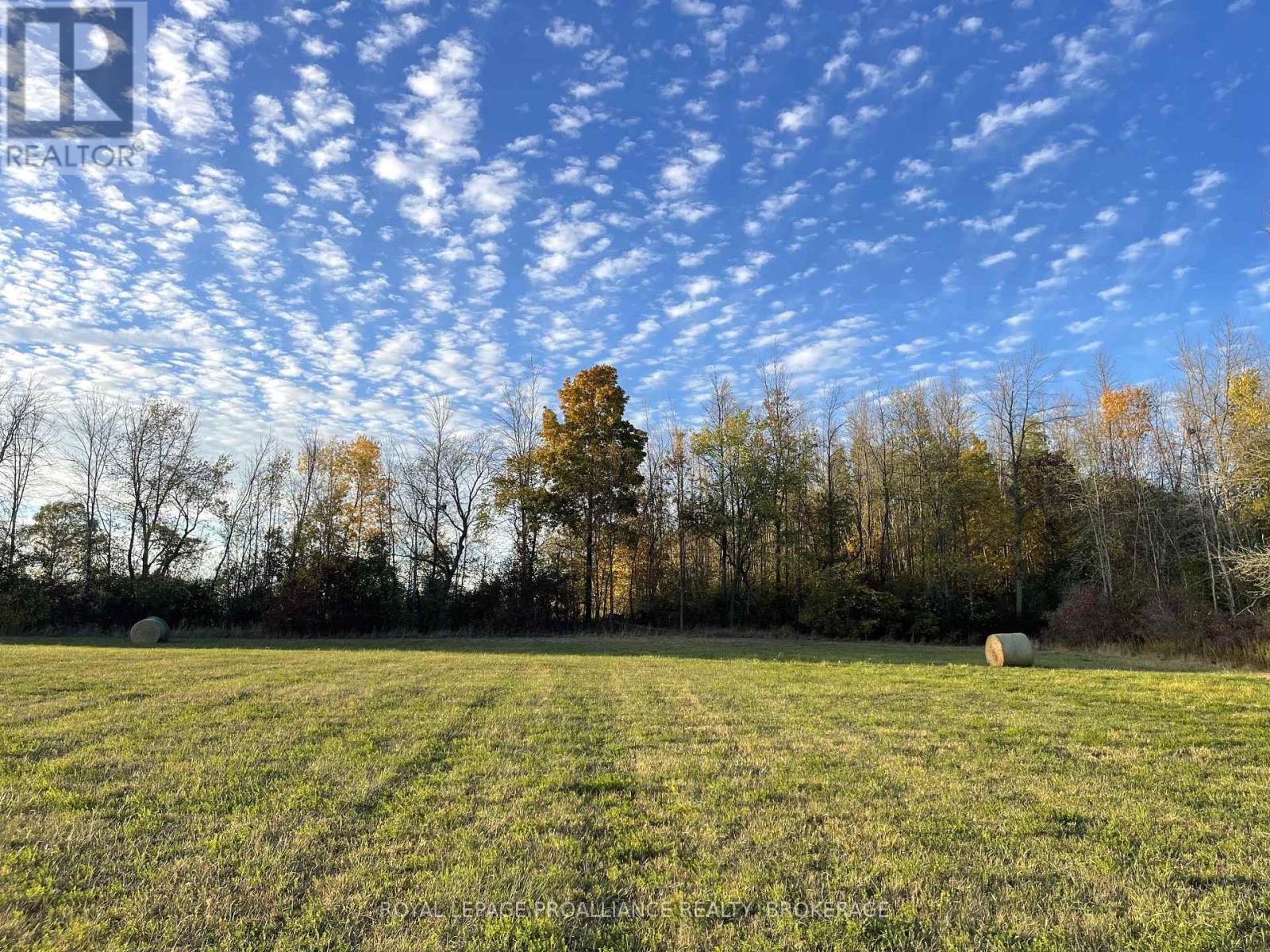 1136 Millhaven Road, Loyalist, Ontario K0H 2H0 - Photo 32 - X12516838