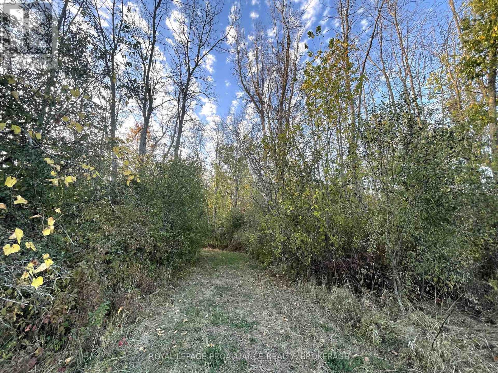 1136 Millhaven Road, Loyalist, Ontario K0H 2H0 - Photo 34 - X12516838