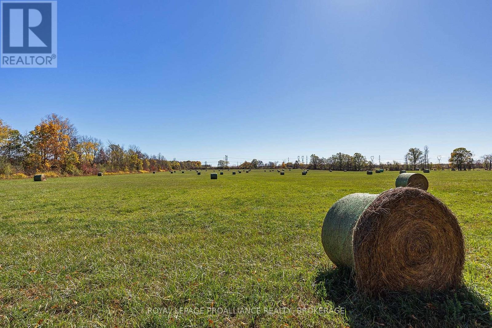 1136 Millhaven Road, Loyalist, Ontario K0H 2H0 - Photo 35 - X12516838