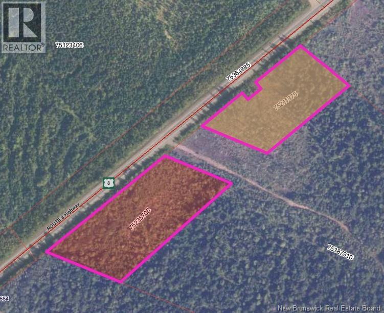 Vacant Lot Route 8, Mcgivney, New Brunswick  E6C 1T7 - Photo 1 - NB129751