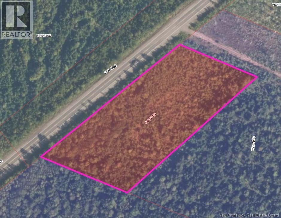 Vacant Lot Route 8, Mcgivney, New Brunswick  E6C 1T7 - Photo 3 - NB129751