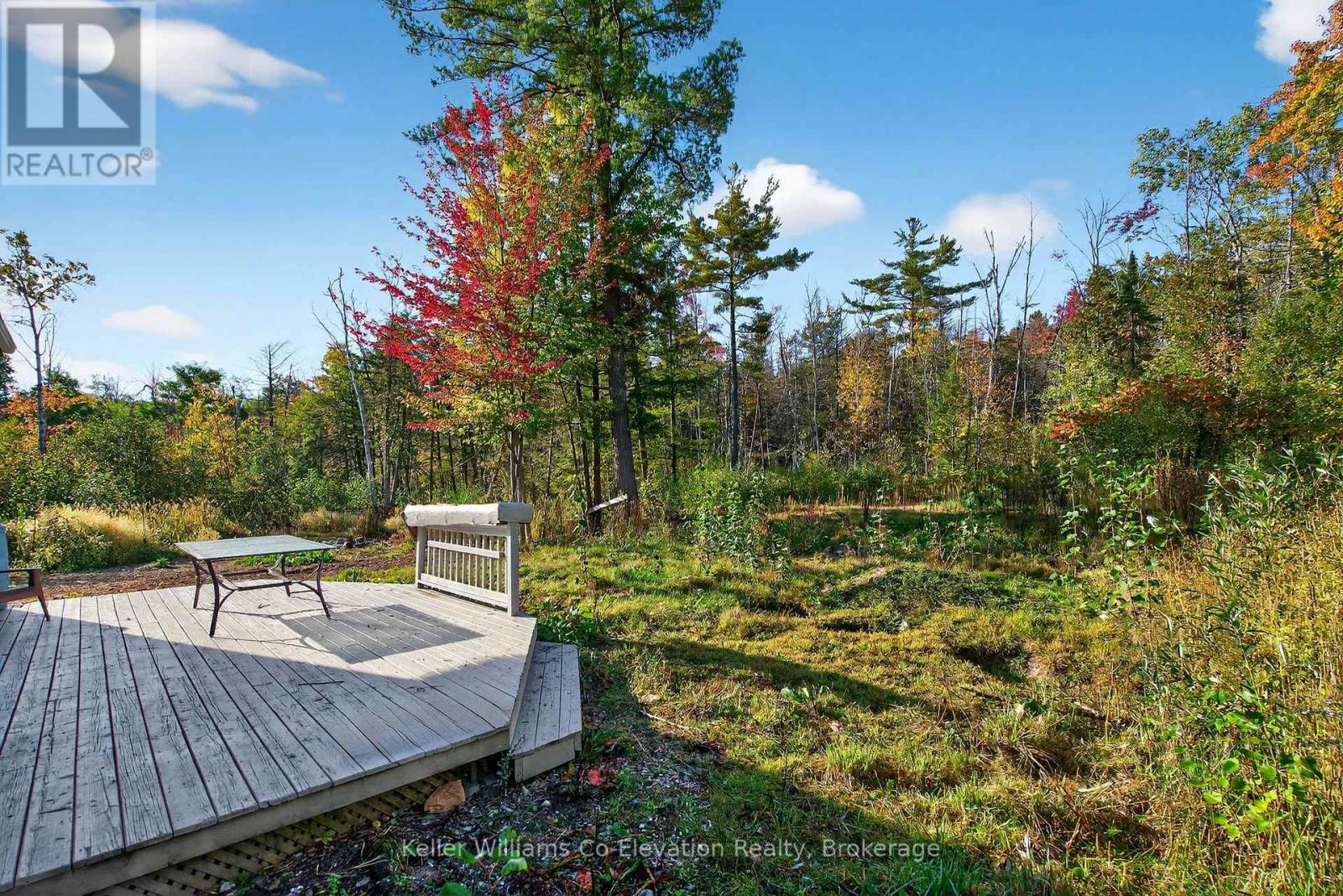 556 Champlain Road, Tiny, Ontario  L9M 0C2 - Photo 20 - S12517010