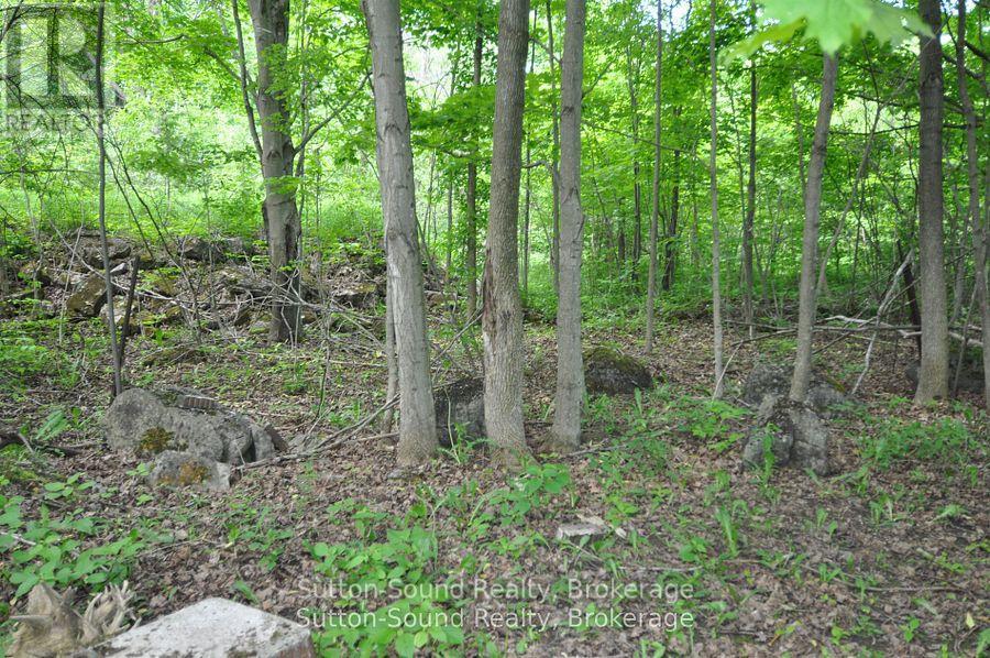 719140 Highway 6 Highway, Georgian Bluffs, Ontario  N0H 2K0 - Photo 44 - X12516774