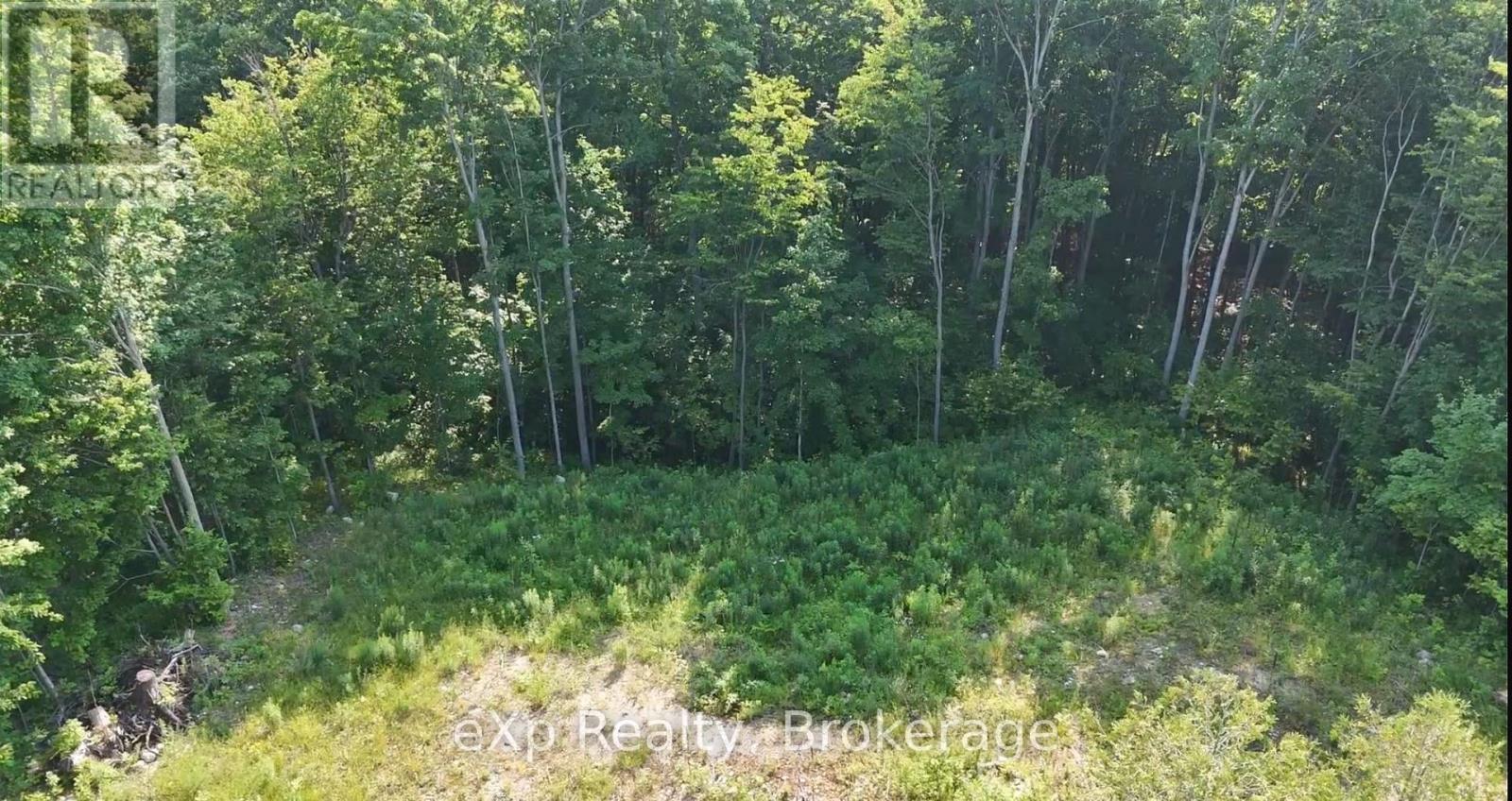 Lot 15 Scotts Hill Road, West Grey, Ontario  N4N 3B9 - Photo 5 - X12516898