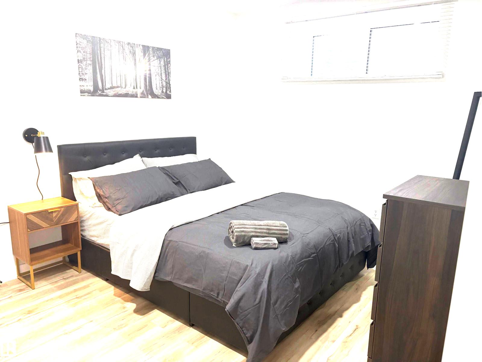 BSMT 22056 80 AV NW, Edmonton, Alberta