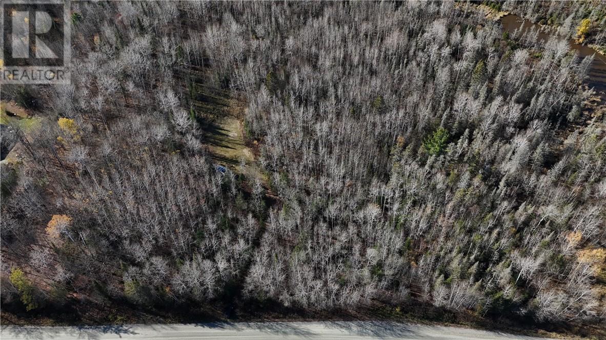 0 Seldom Seen Road, Massey, Ontario P0P 1P0 - Photo 7 - 2125227