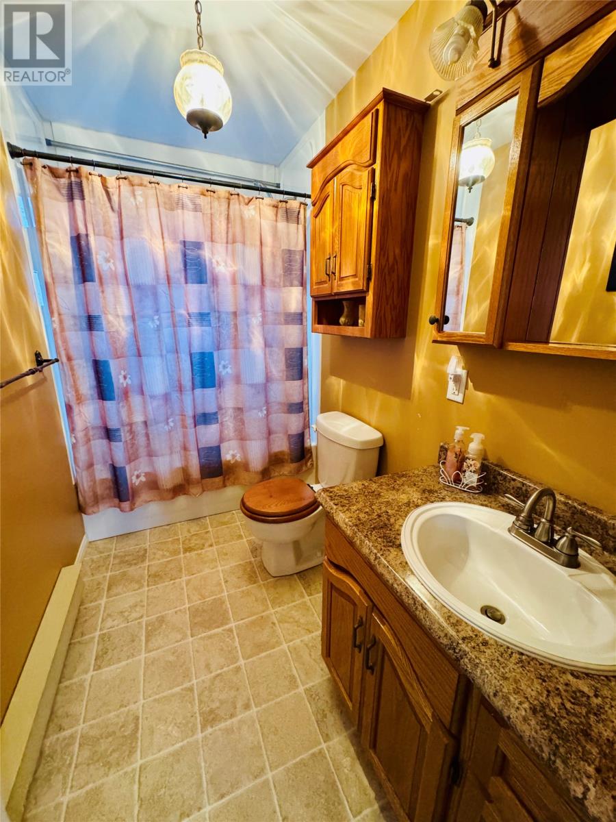 3 King's Place, Grand Falls - Windsor, Newfoundland & Labrador  A2B 1E3 - Photo 13 - 1291842