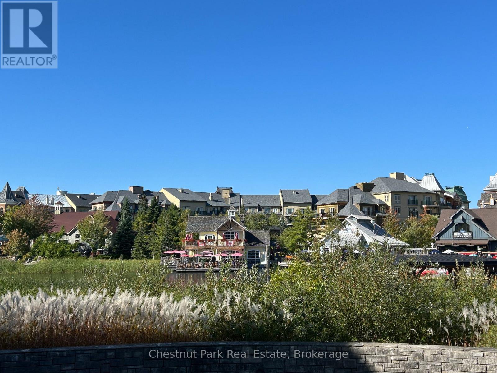 165 - 220 Gord Canning Drive, Blue Mountains, Ontario L9Y 0V2 - Photo 17 - X12517136