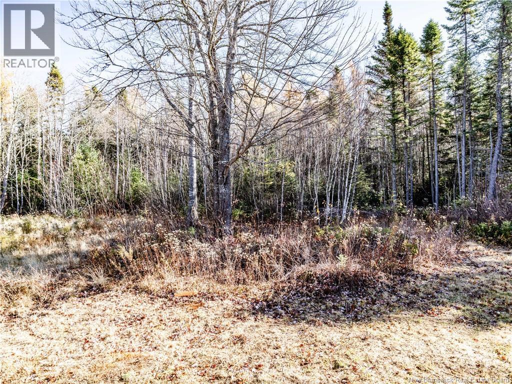 450 Bedec, Richibouctou-Village, New Brunswick  E4W 1B3 - Photo 21 - NB129740