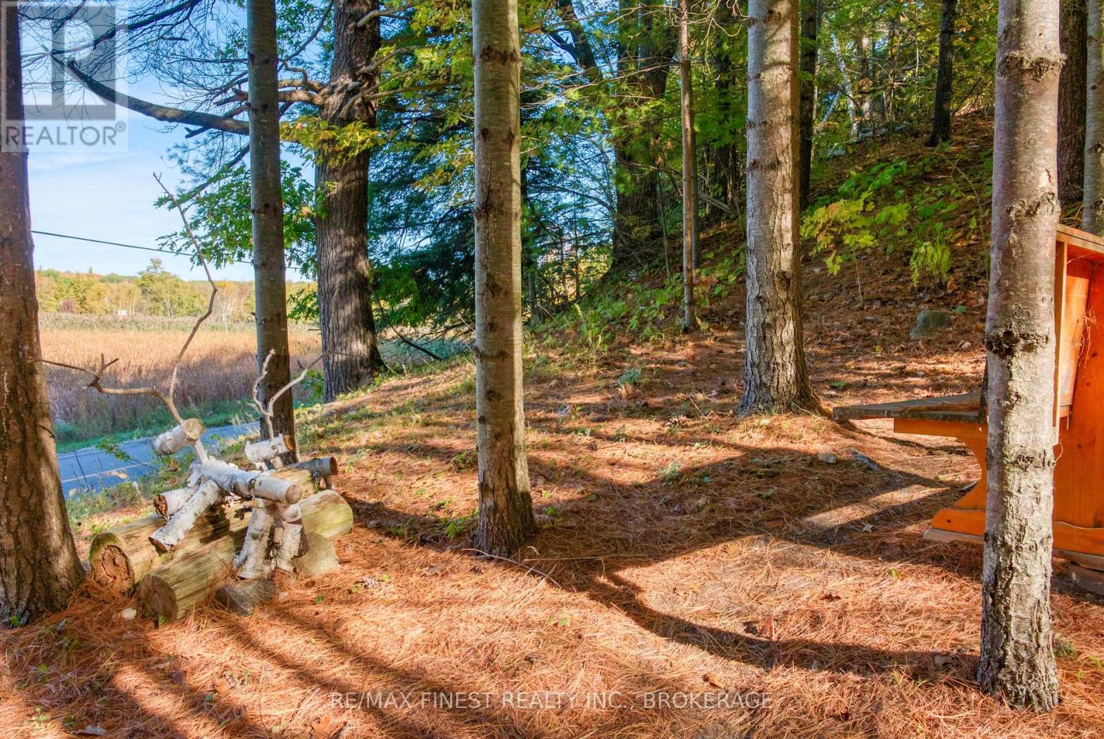 10874 Canoe Lake Road, Frontenac, Ontario  K0H 2V0 - Photo 37 - X12481963