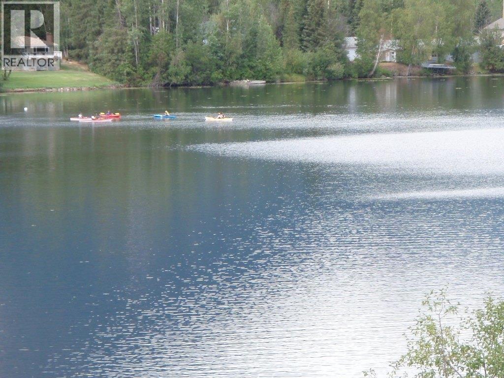 14 Pavilion Place, Smithers, British Columbia V0J 2N2 - Photo 17 - R3065376