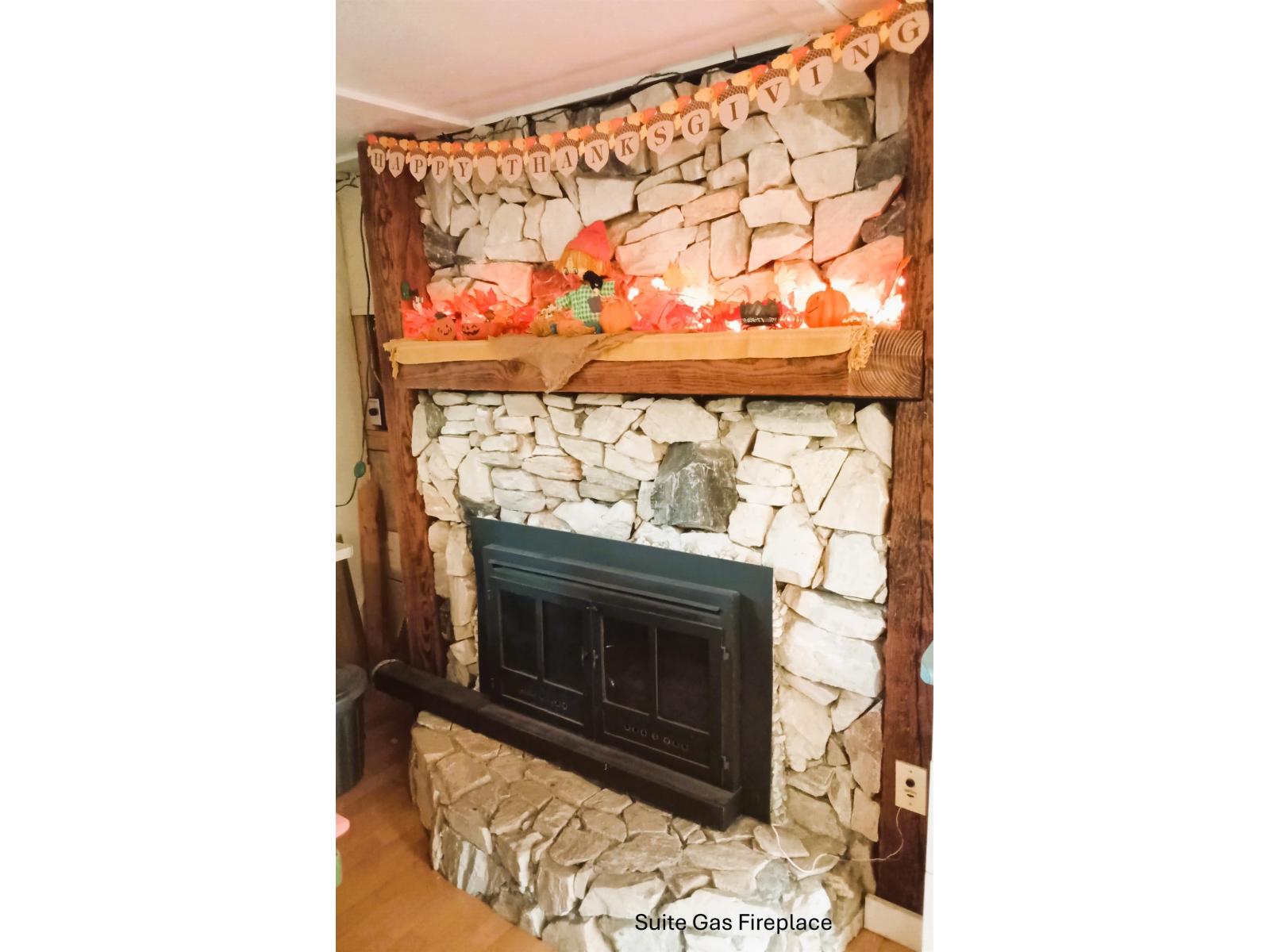 8187 Coleman Street, Mission, British Columbia V2V 6R6 - Photo 38 - R3047897