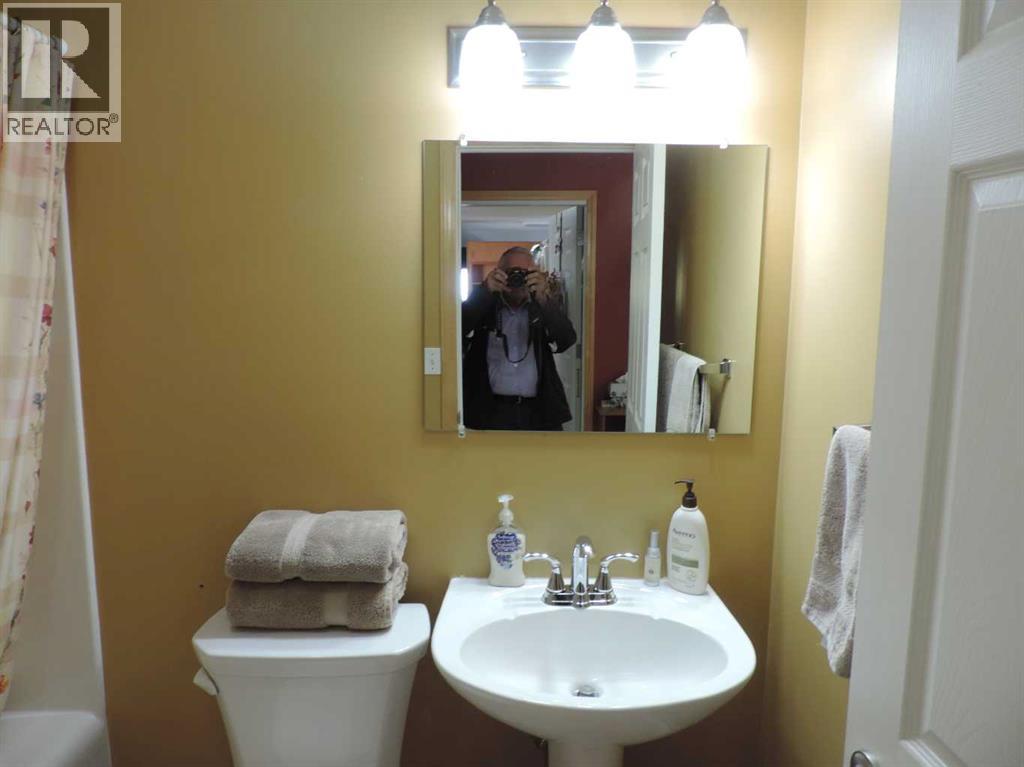 #11 Poor Man Flats Blue 14021  Hwy 53, Rural Ponoka County, Alberta  T0C 2J0 - Photo 22 - A2260393