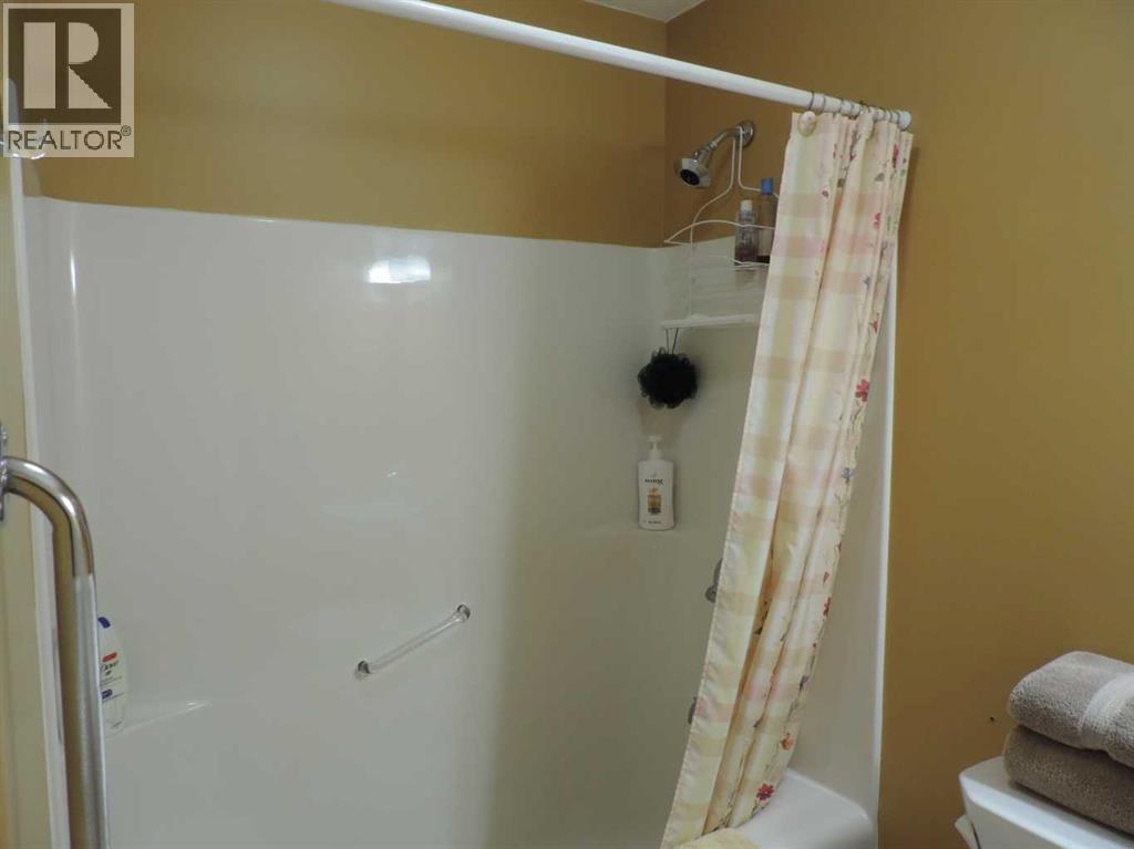 #11 Poor Man Flats Blue 14021  Hwy 53, Rural Ponoka County, Alberta  T0C 2J0 - Photo 21 - A2260393