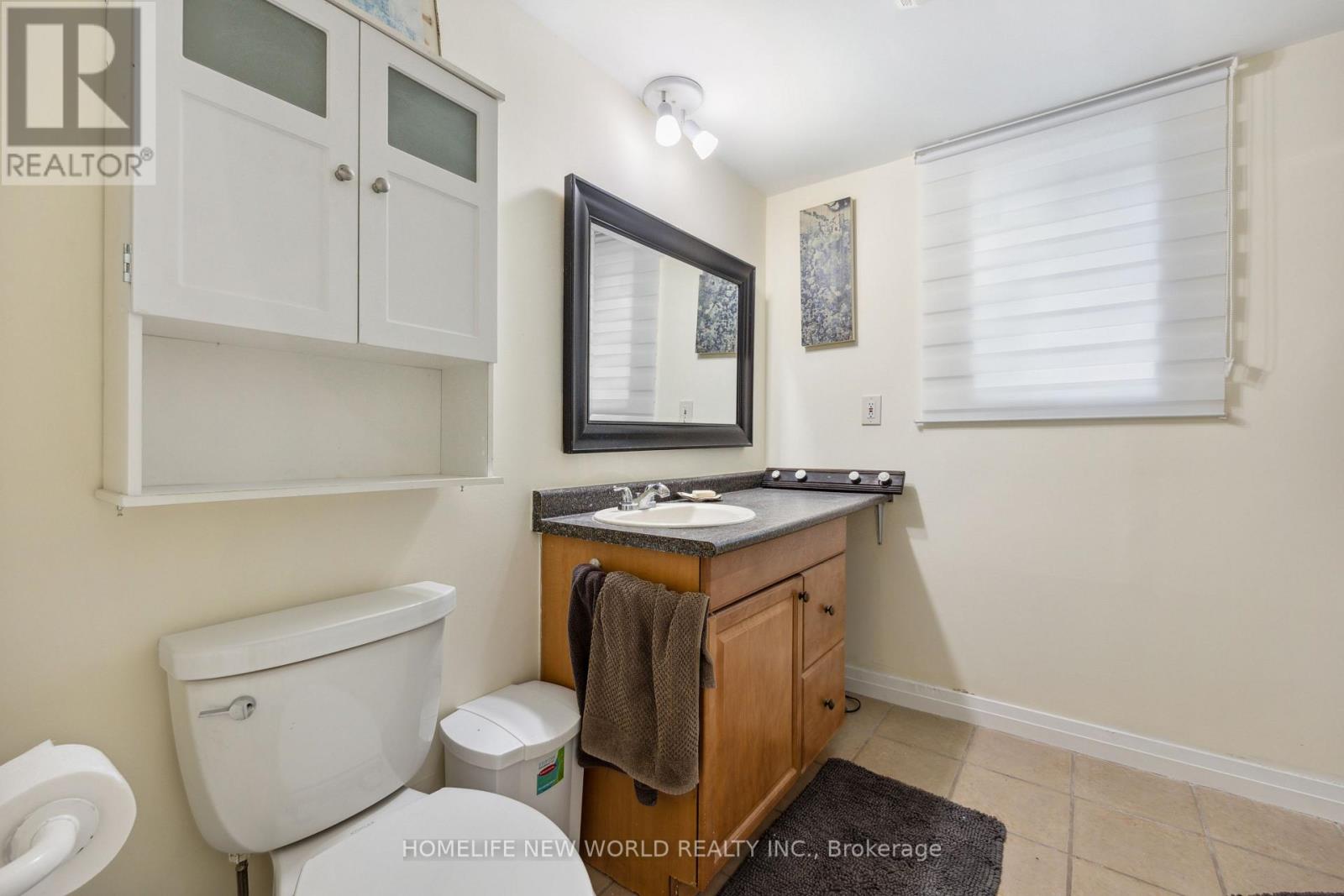 Lower - 31 Metropolitan Crescent, Georgina, Ontario  L4P 1L6 - Photo 8 - N12517242