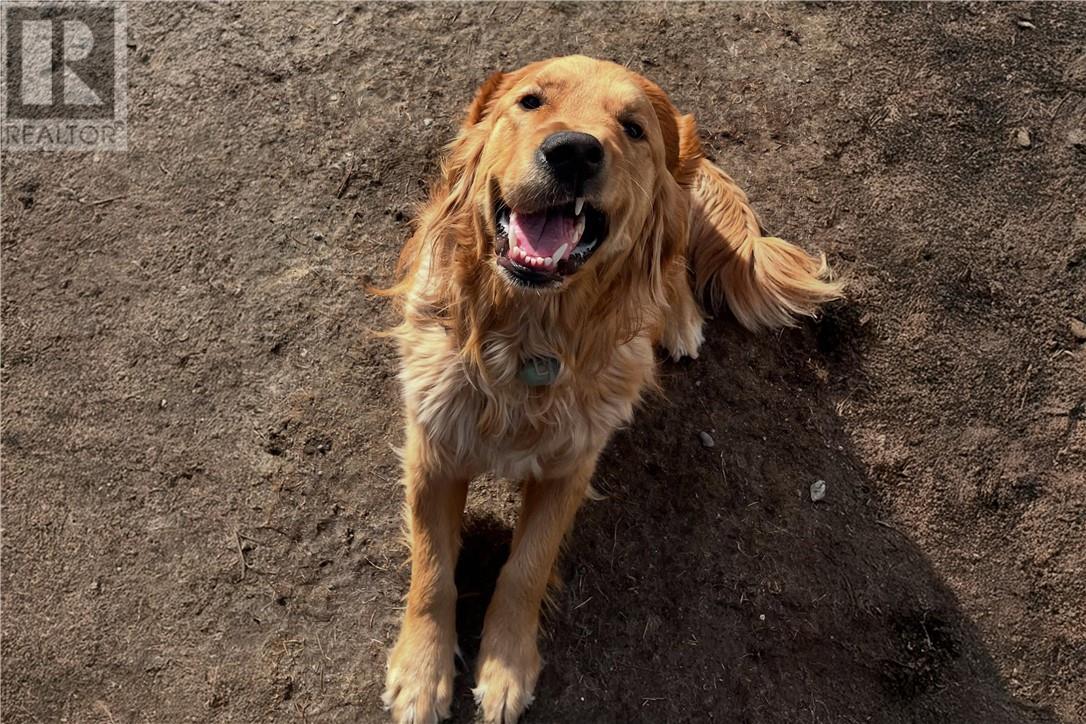 3710 Dill Lake Road, Greater Sudbury, Ontario P3G 0A5 - Photo 14 - 2125543