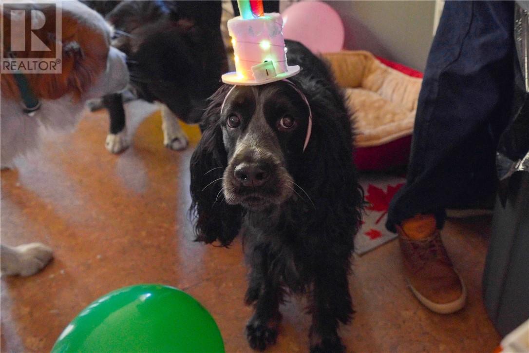 3710 Dill Lake Road, Greater Sudbury, Ontario P3G 0A5 - Photo 7 - 2125543