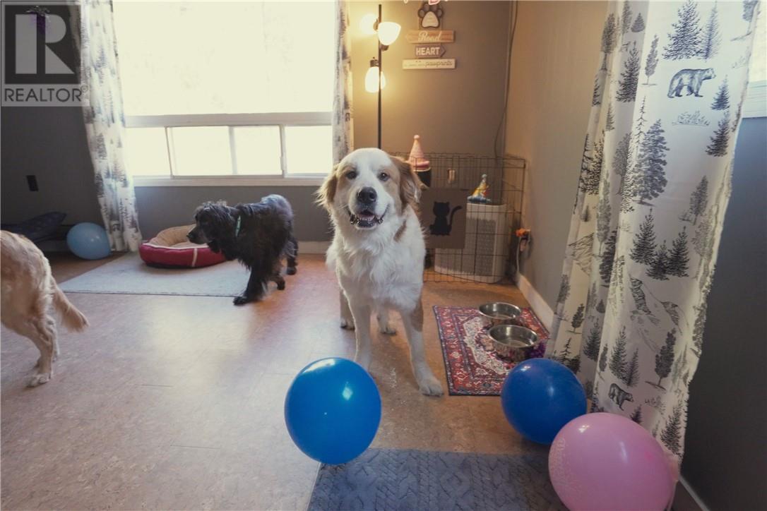 3710 Dill Lake Road, Greater Sudbury, Ontario P3G 0A5 - Photo 9 - 2125543