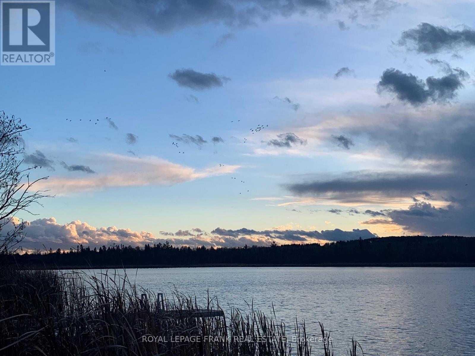 98 Pilkey Road, Uxbridge, Ontario  L0C 1H0 - Photo 37 - N12517530