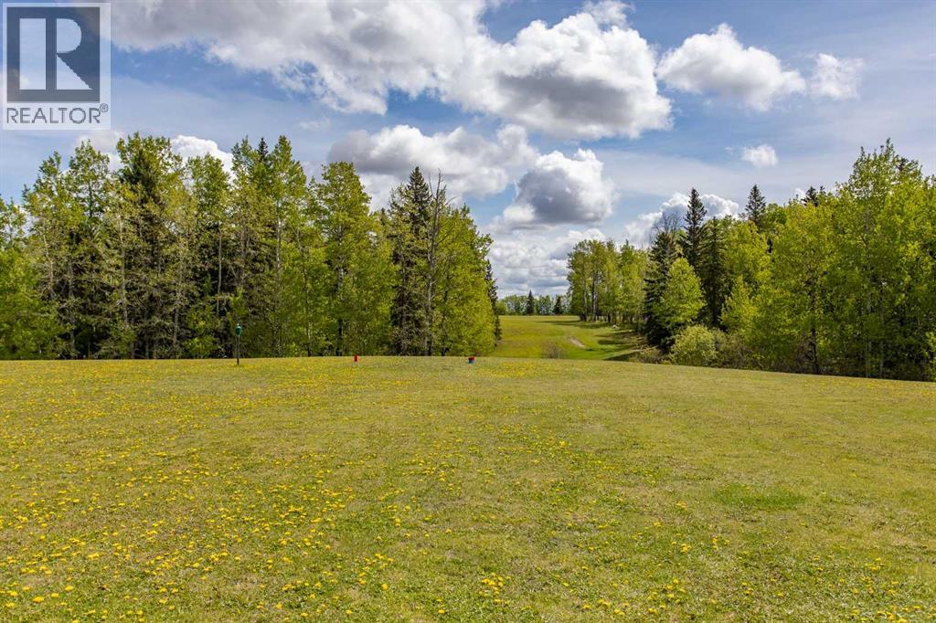 371022 Range Road 6-1, Rural Clearwater County, Alberta  T0M 0M0 - Photo 8 - A2227874