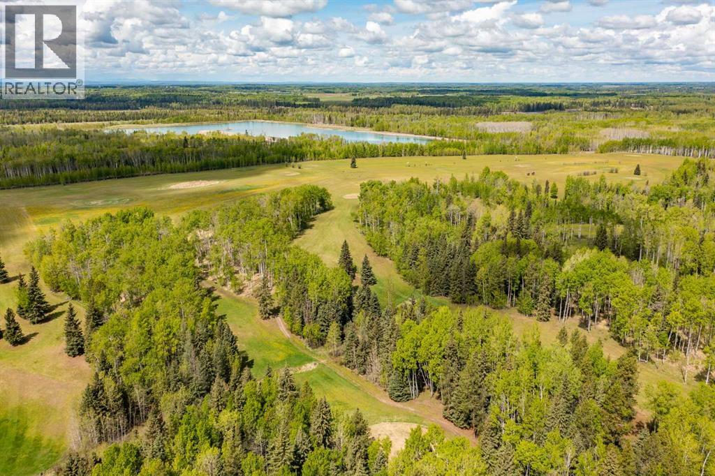 371022 Range Road 6-1, Rural Clearwater County, Alberta  T0M 0M0 - Photo 16 - A2227874