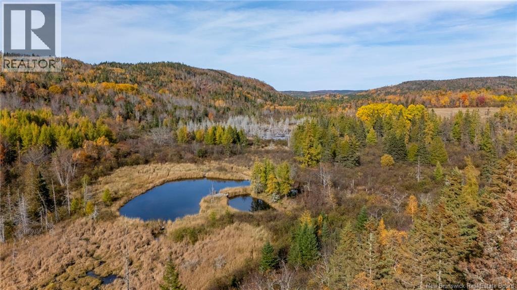 2346 Route 124, Hatfield Point, New Brunswick  E5T 2T1 - Photo 46 - NB126651