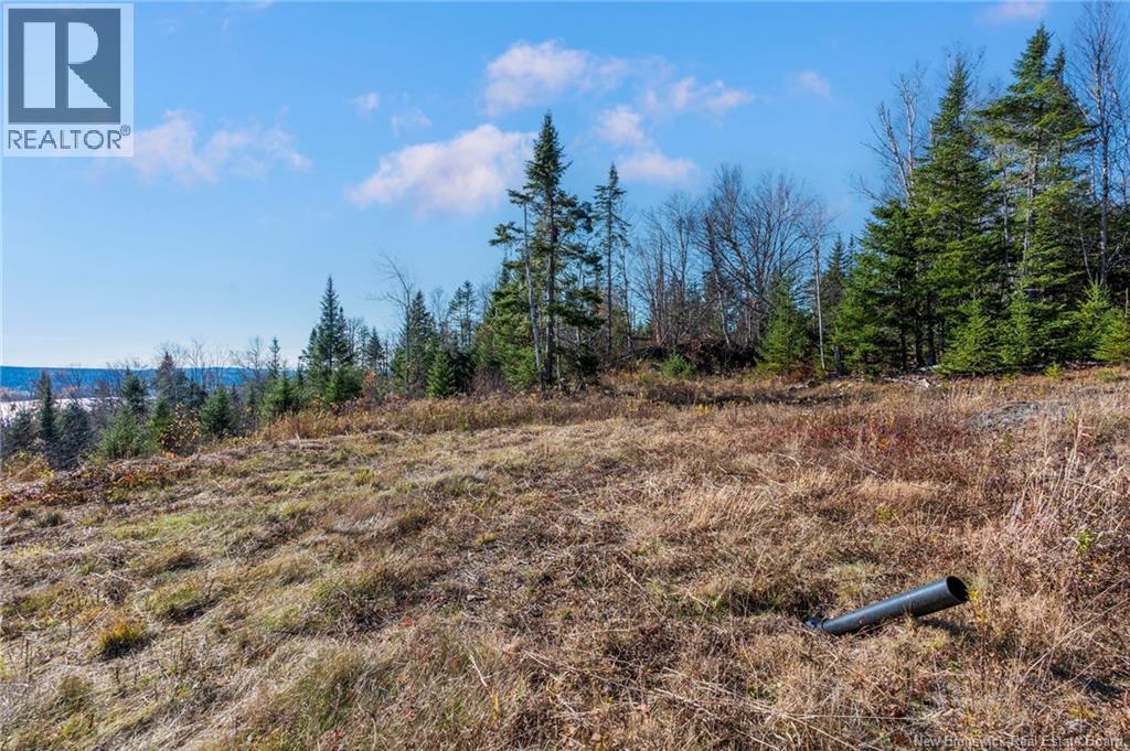 2346 Route 124, Hatfield Point, New Brunswick  E5T 2T1 - Photo 48 - NB126651