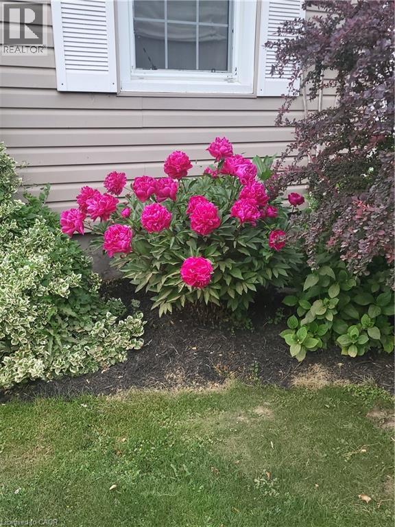 22 Brook Road S, Cobourg, Ontario  K9A 4G1 - Photo 21 - 40751517