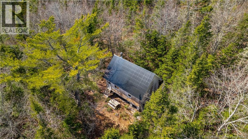 Lot 00 Frye Road, Chamcook, New Brunswick  E5B 0C4 - Photo 6 - NB129560