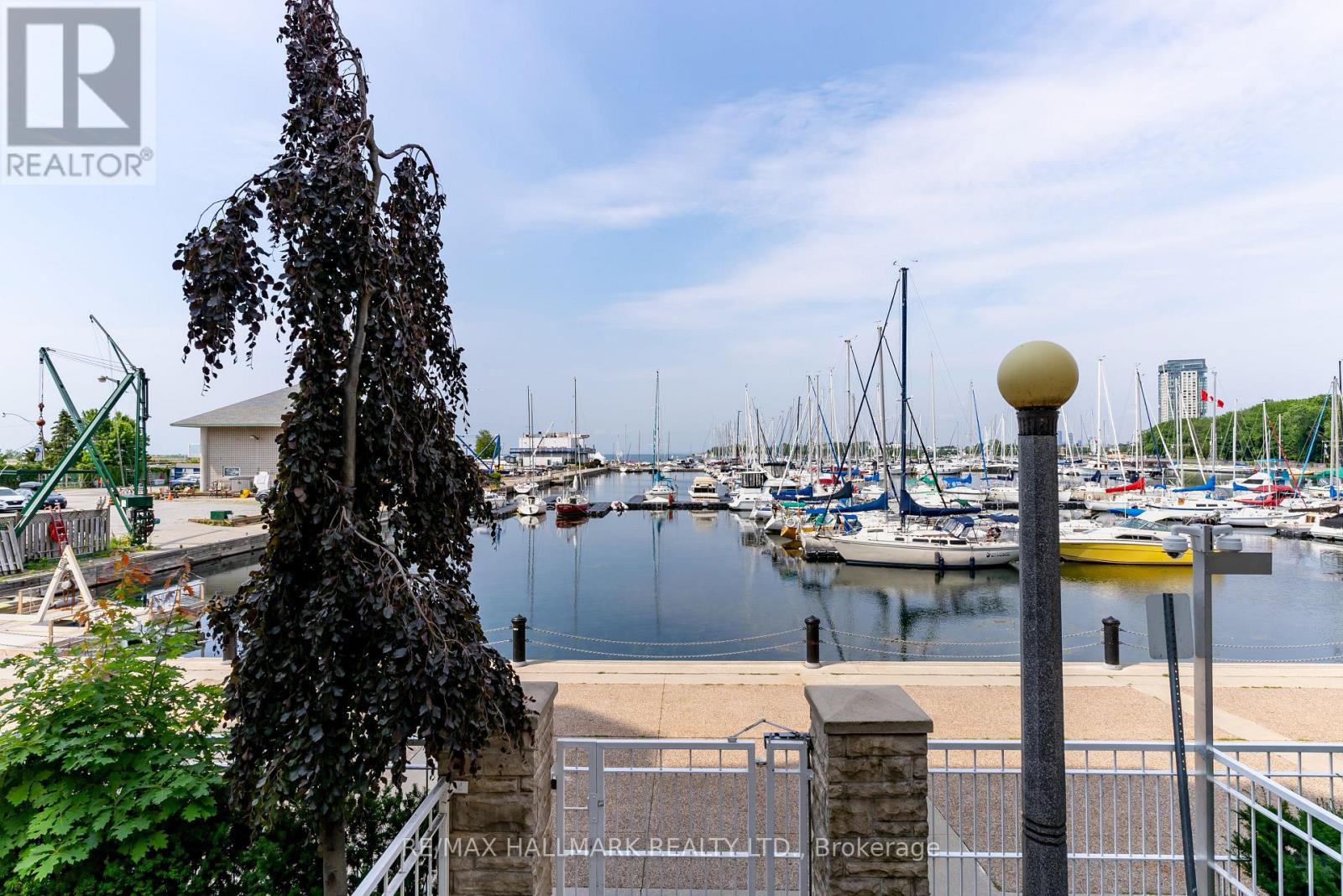 278 - 30 Stadium Road, Toronto, Ontario  M5V 3P4 - Photo 37 - C12517558