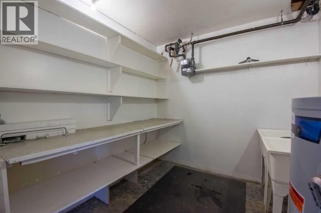 5015 51 Street, Rocky Mountain House, Alberta  T4T 1E2 - Photo 38 - A2263825