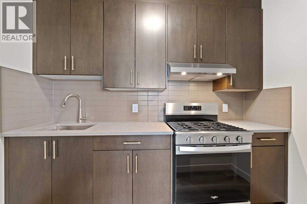 736 Savanna Crescent Ne, Calgary, Alberta  T3J 5T5 - Photo 20 - A2263950