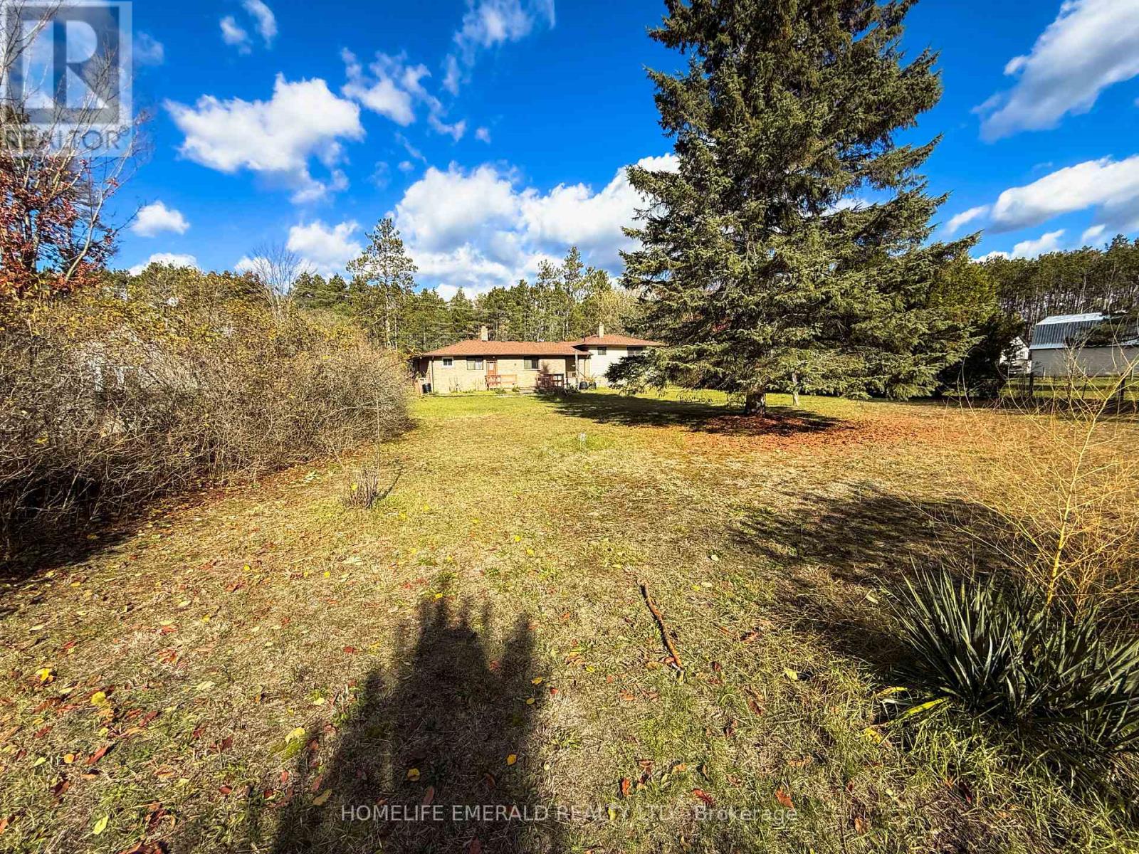 8169 Main Street E, Adjala-Tosorontio (Lisle), Ontario  L0M 1M0 - Photo 50 - N12517830