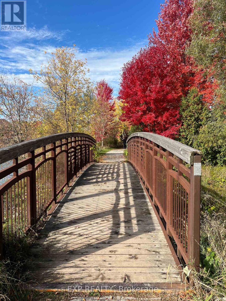 98 Lowther Avenue, Richmond Hill, Ontario  L4E 4P3 - Photo 50 - N12517916