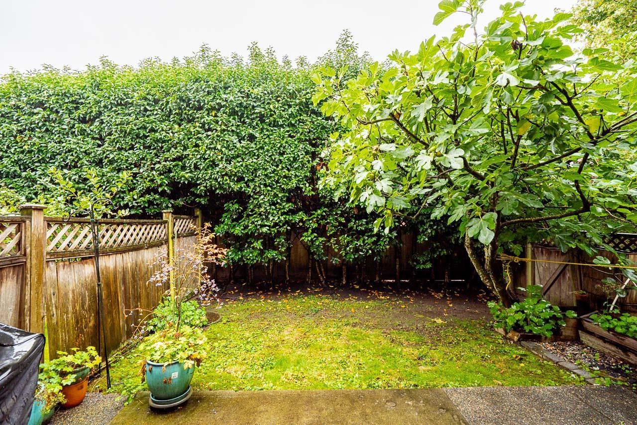 9 18199 70 Avenue, Surrey, British Columbia  V3S 2N9 - Photo 30 - R3059596