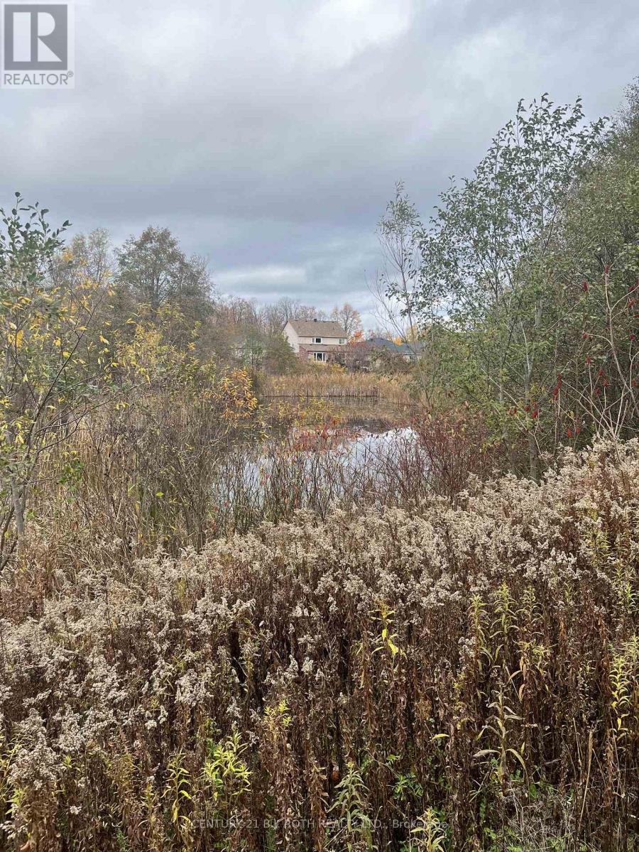 1082 Kensington Street, Innisfil, Ontario  L9S 1V1 - Photo 31 - N12511964