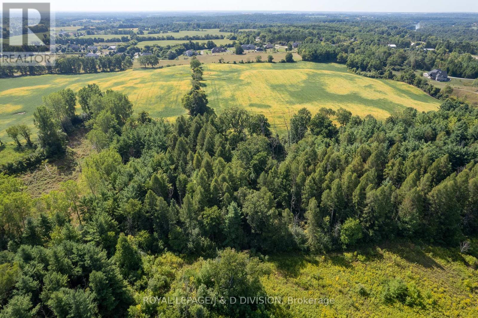 315 Mcpherson School Road, Brant, Ontario  N0E 1N0 - Photo 20 - X12517942