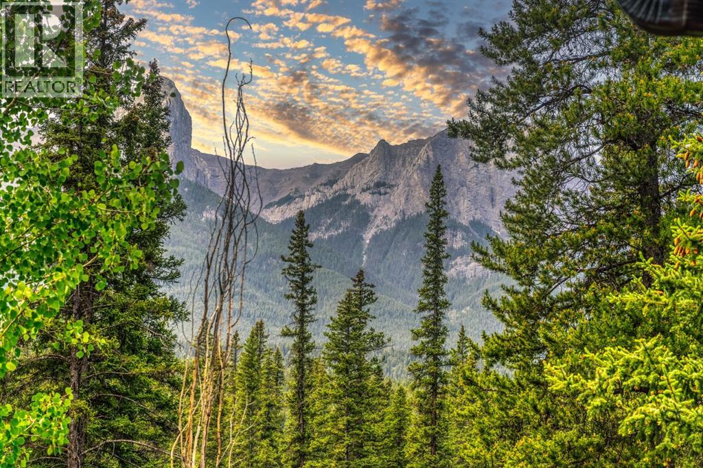 5 Woodside Lane, Canmore, Alberta  T1W 1T1 - Photo 24 - A2233257