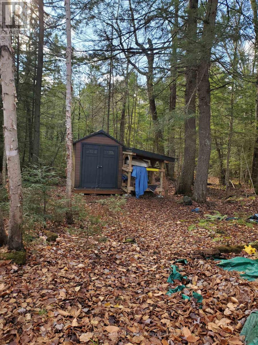 00000 Ril Lake Road, Lake Of Bays, Ontario  P0B 1A0 - Photo 3 - X12518148