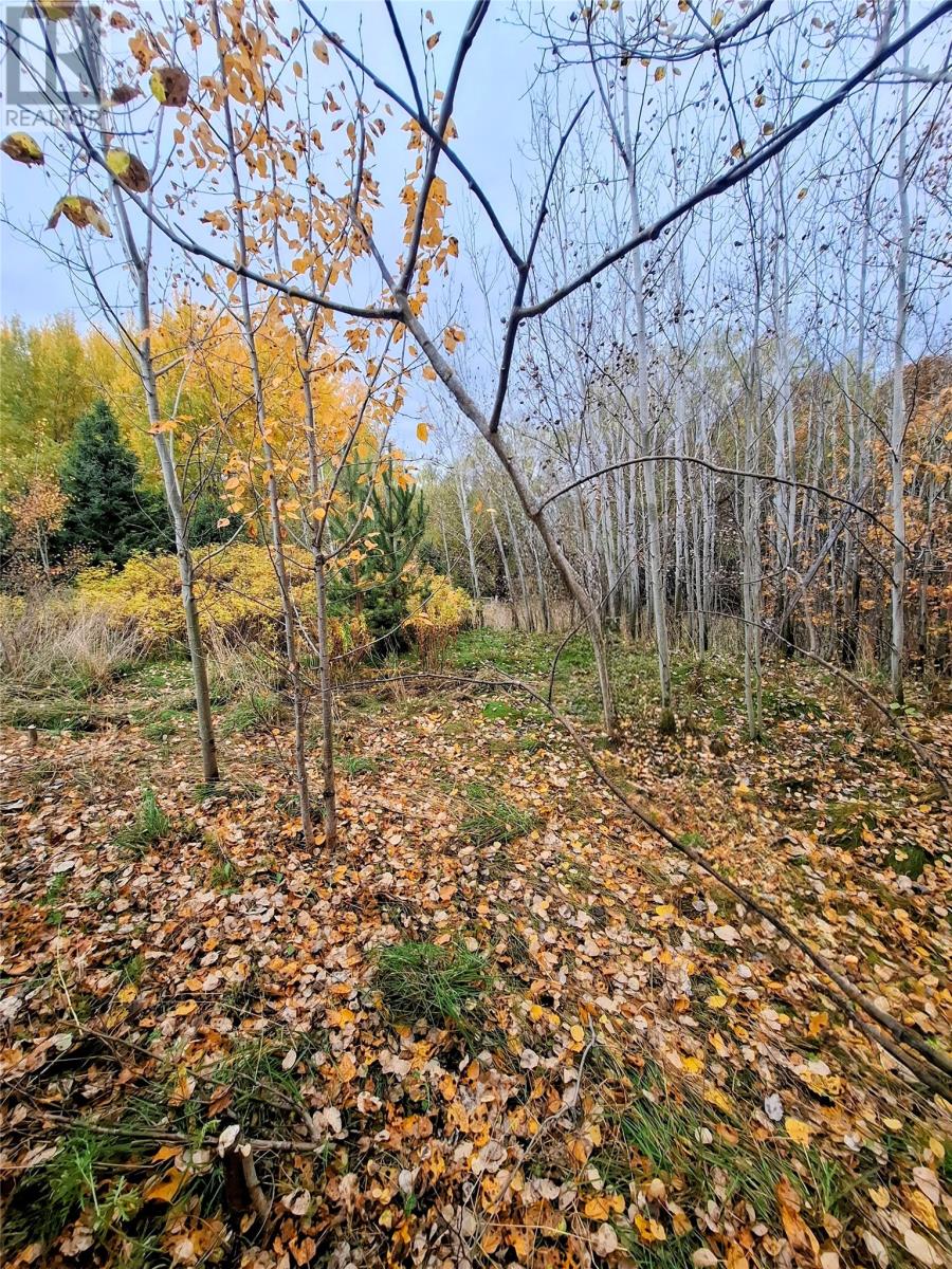 25 Chapel Hill Road, Deer Lake, Newfoundland & Labrador  A8A 1C2 - Photo 9 - 1292377