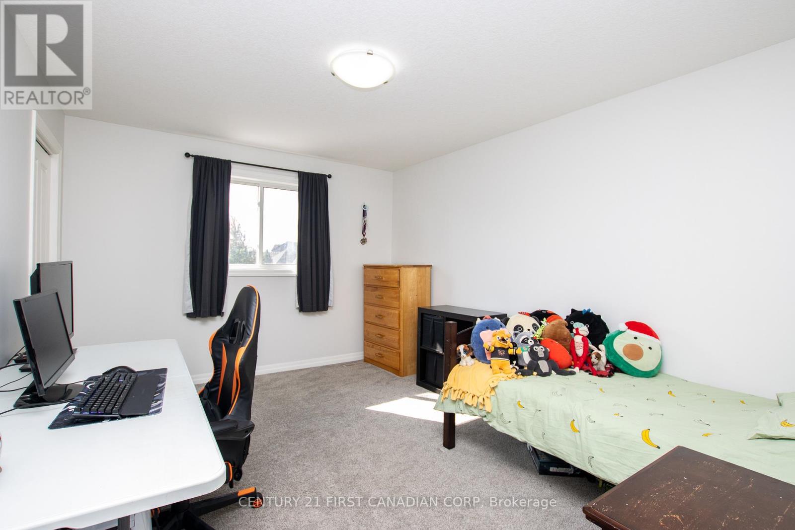 16 Arnold Street, Tillsonburg, Ontario  N4G 0G9 - Photo 16 - X12518254