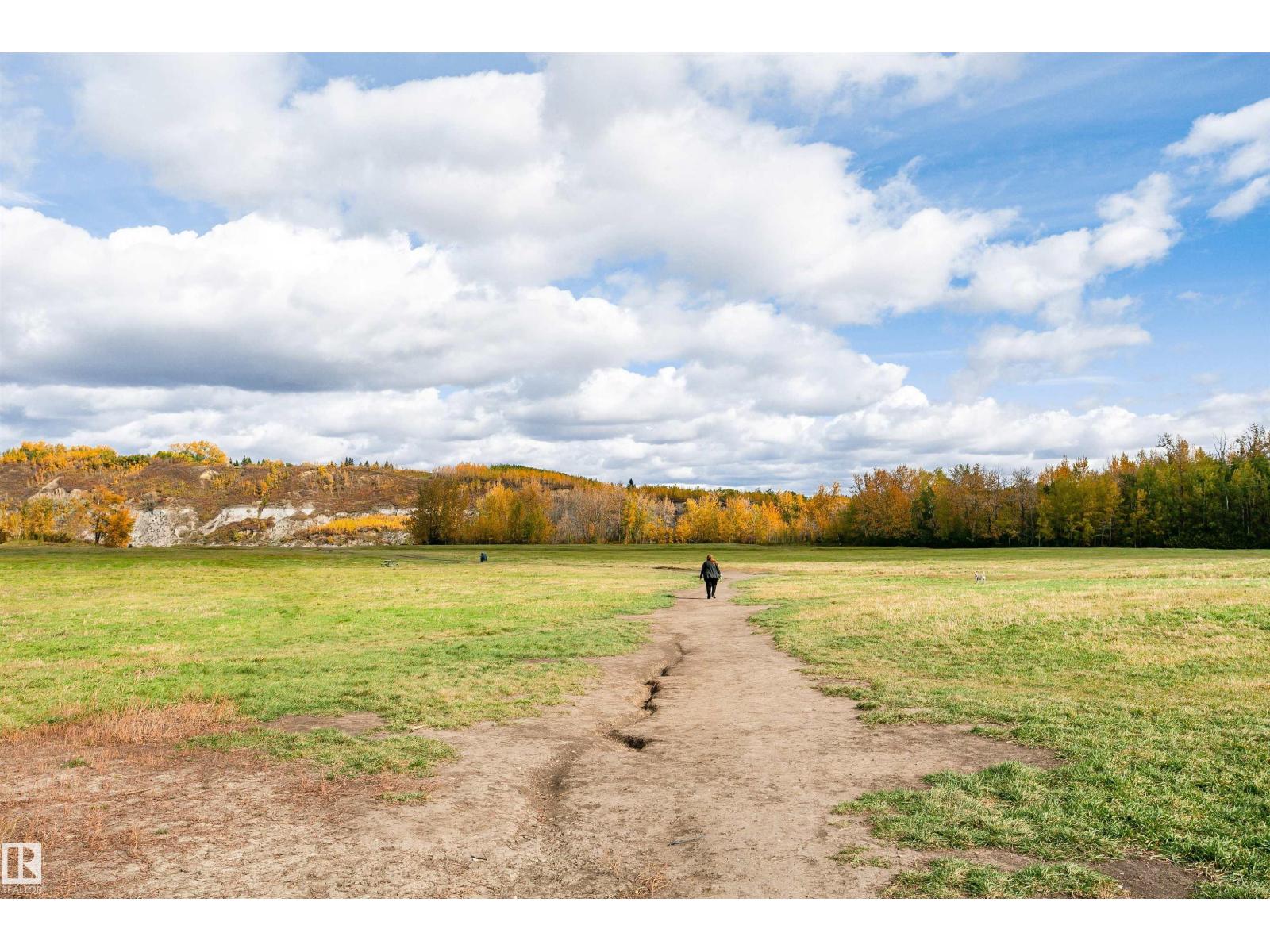 701 Revell Cr Nw, Edmonton, Alberta  T6R 2G1 - Photo 64 - E4464936