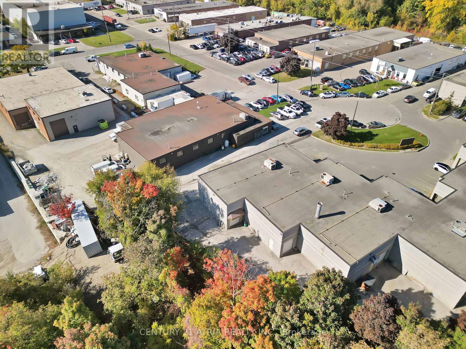 12 - 1606 Sedlescomb Drive, Mississauga, Ontario  L4X 1M6 - Photo 5 - W12517980