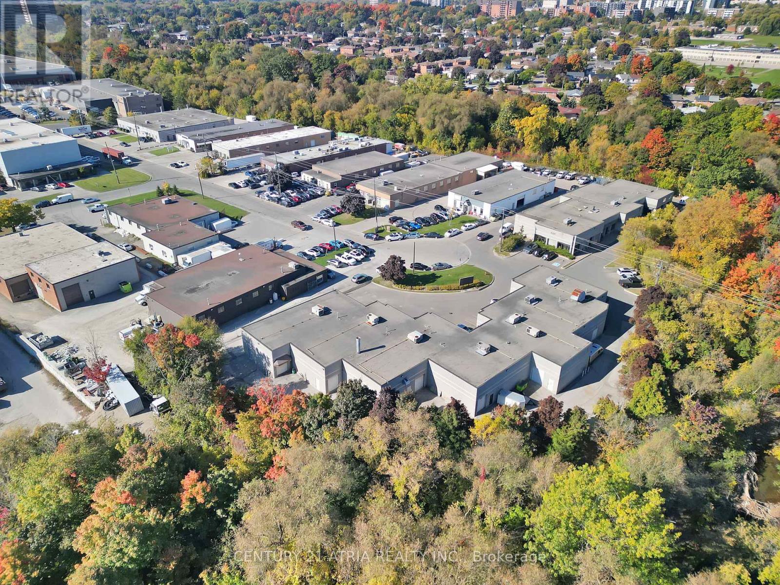 12 - 1606 Sedlescomb Drive, Mississauga, Ontario  L4X 1M6 - Photo 6 - W12517980