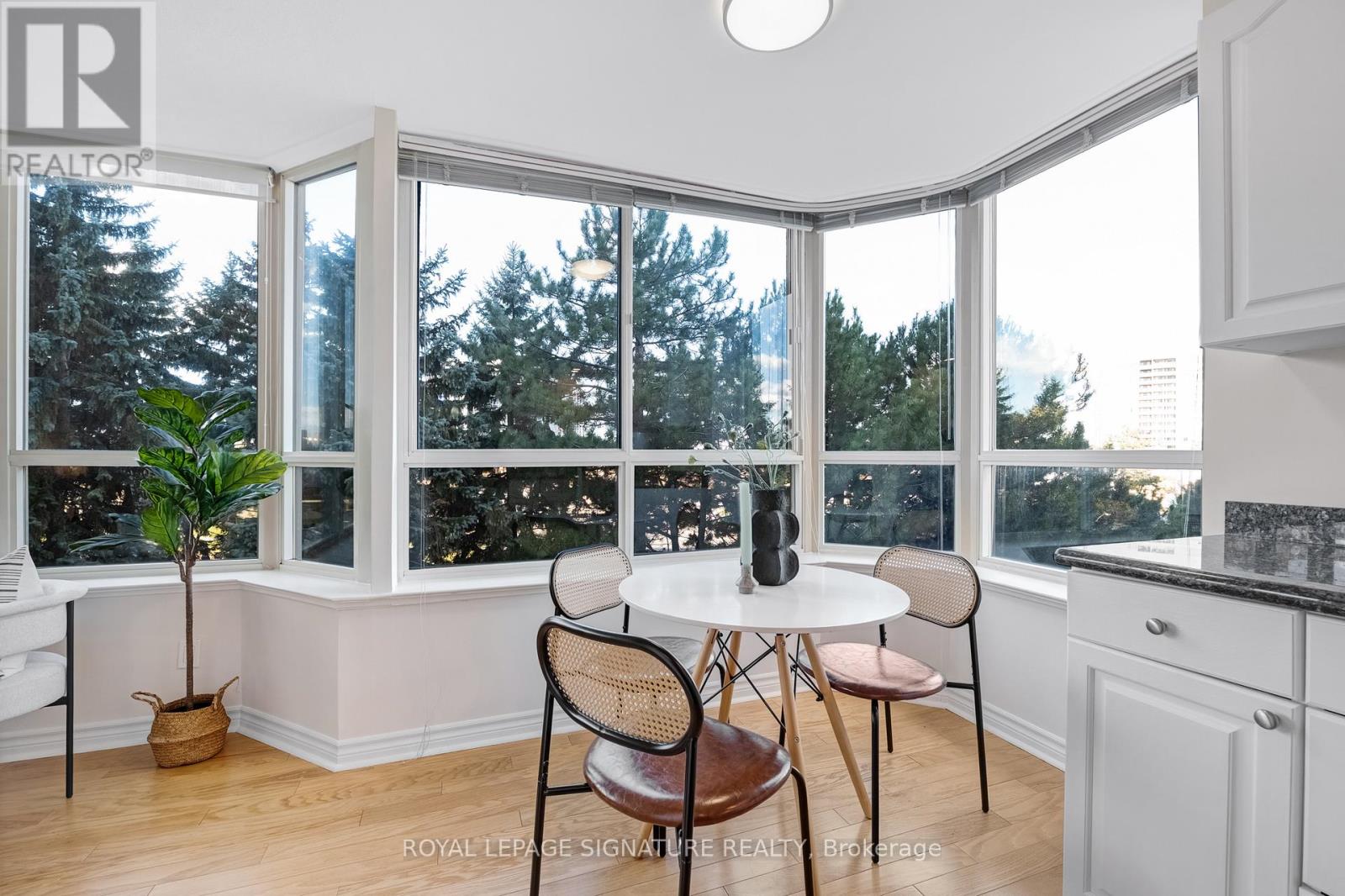 303 - 33 Weldrick Road E, Richmond Hill, Ontario  L4C 8W4 - Photo 10 - N12518180