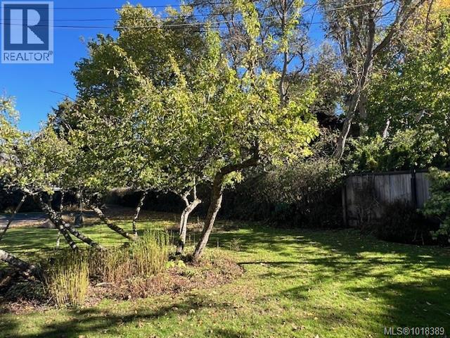 1575 Mileva Lane, Saanich, British Columbia  V8N 2V6 - Photo 20 - 1018389